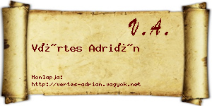 Vértes Adrián névjegykártya