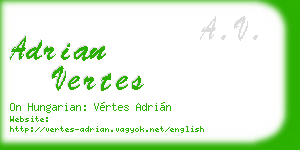 adrian vertes business card